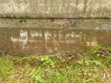image of grave number 808738